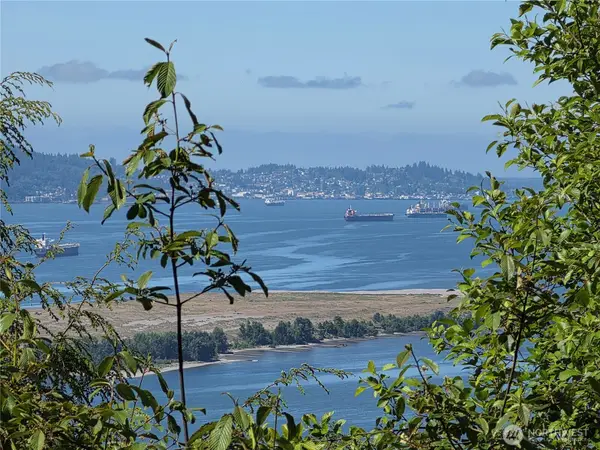 0 Cottardi Heights Road, Rosburg, WA 98643