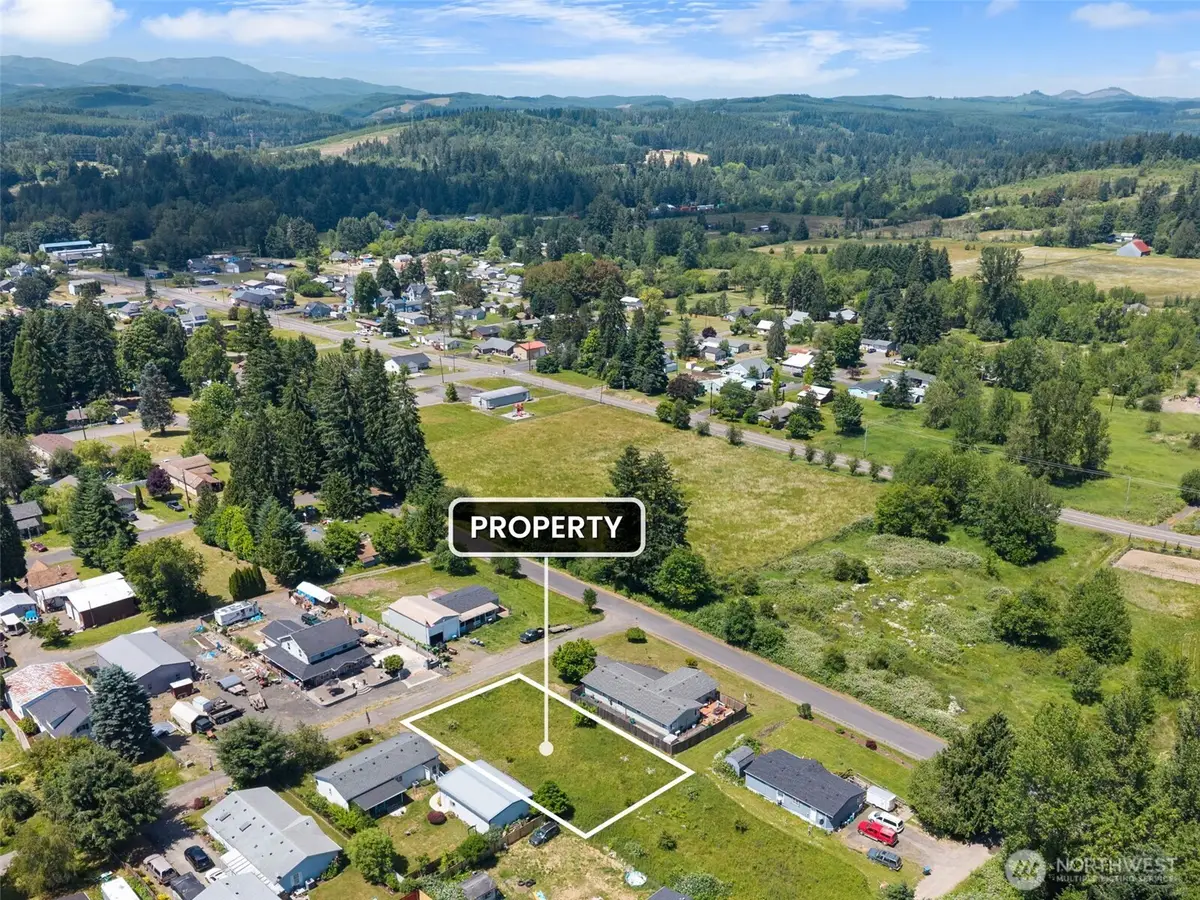 810 F Street, Vader, WA 98593 - #1