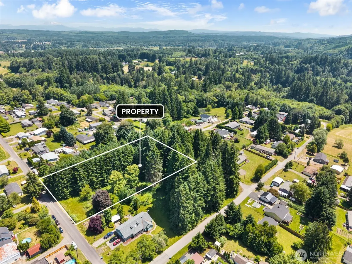 0 9th Street, Vader, WA 98593 - #1