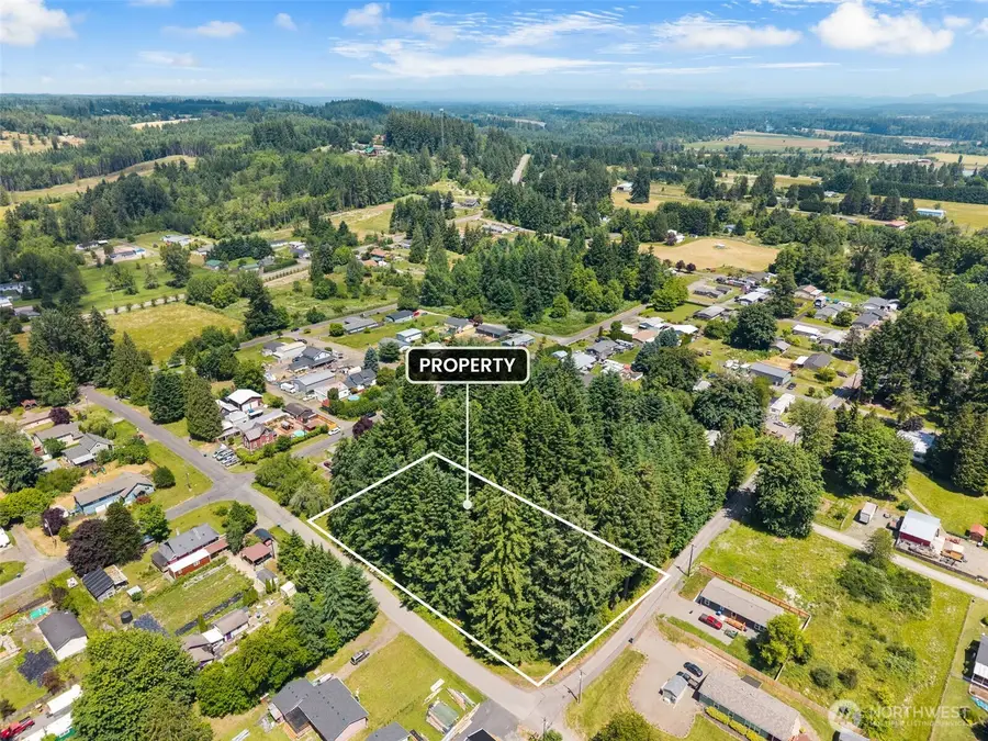 0 E Street, Vader, WA 98593 - #2
