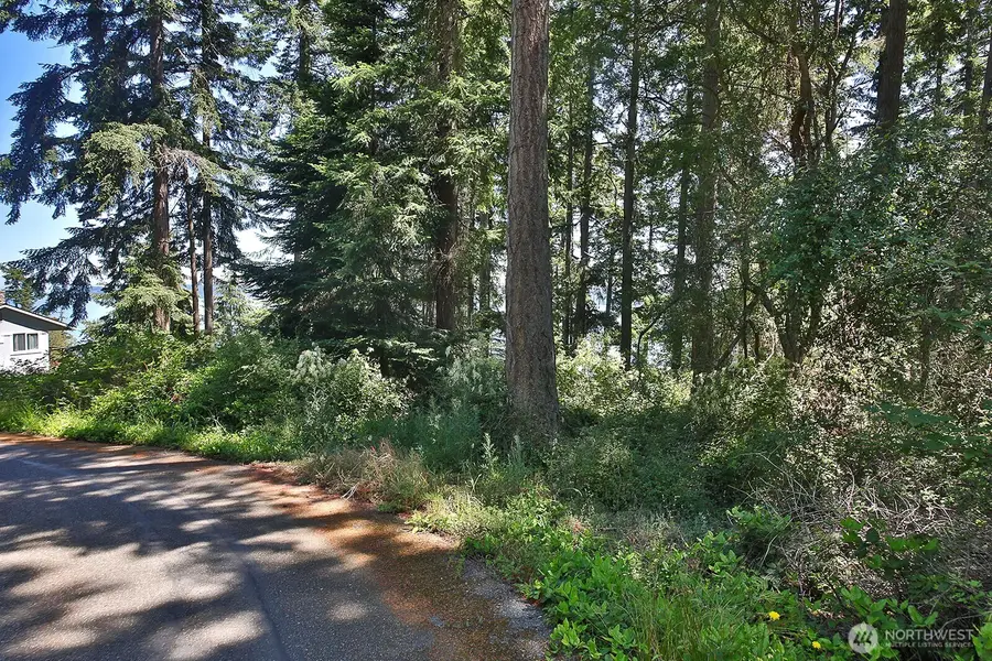 0 Belvedere Place, Coupeville, WA 98239 - #2