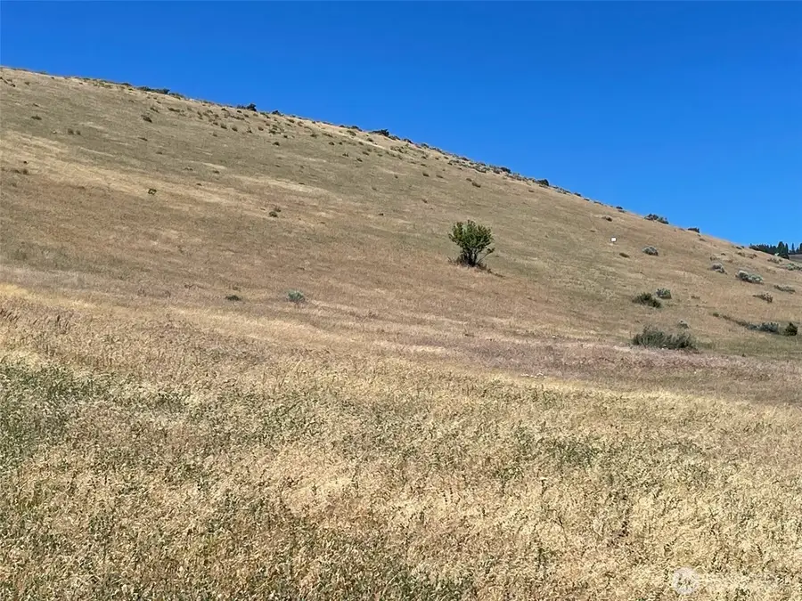 20 Robbins Road, Ellensburg, WA 98926 - #2