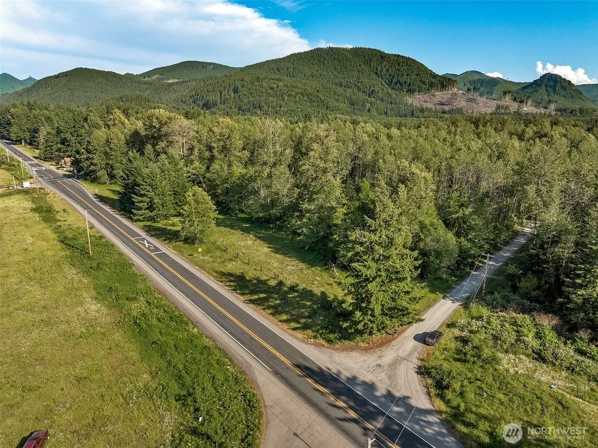 0 Park Junction Road E, Elbe, WA 98330 - #1