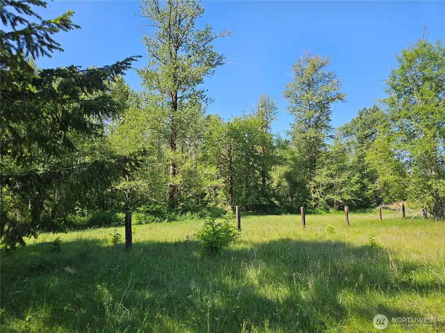 0 Park Junction Road E, Elbe, WA 98330 - #2