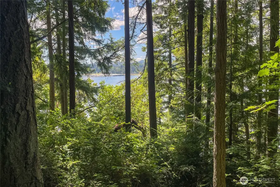 3 NW Sulphur Springs Lot 3 #Lot 3, Bremerton, WA 98310 - #3