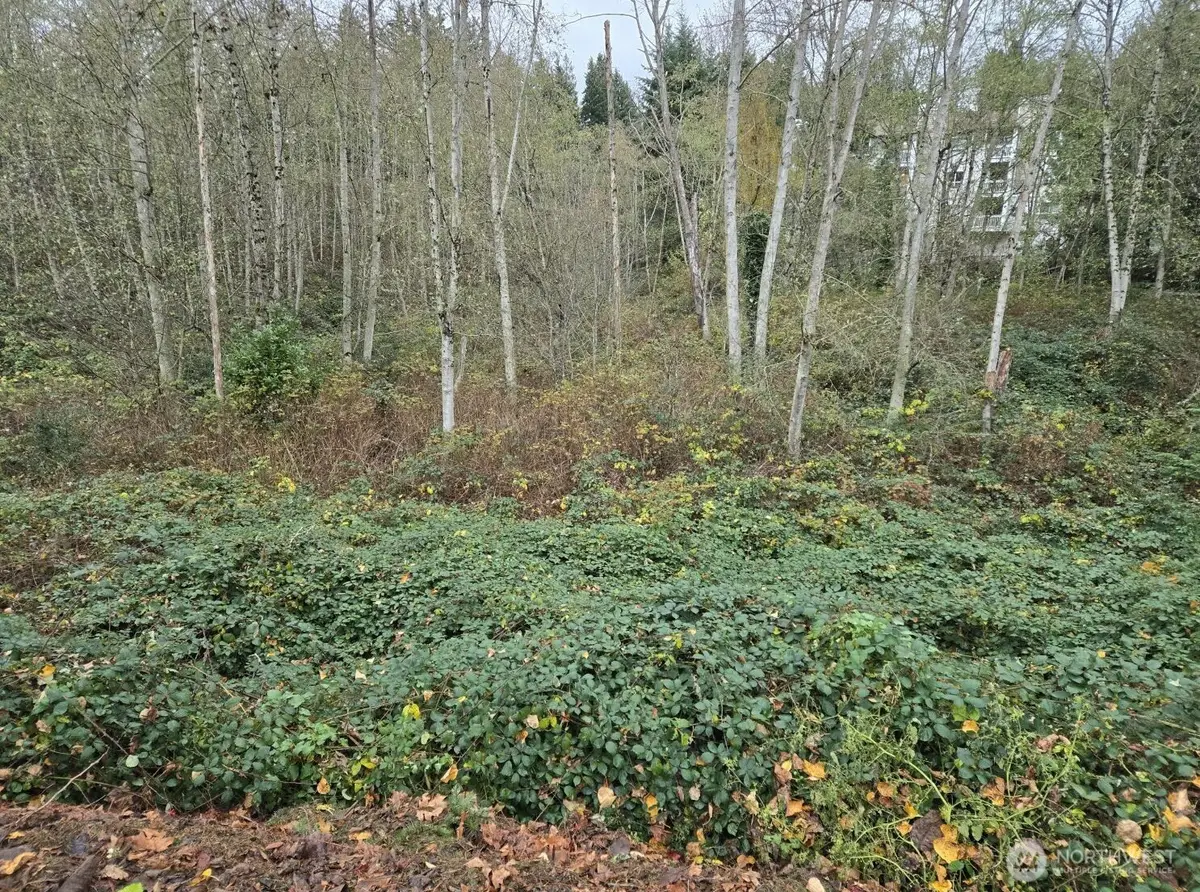 8201 5th Avenue W, Everett, WA 98204 - #1