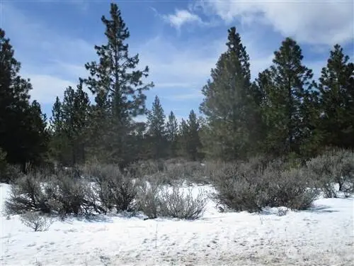 6 Chipmunk Trail, Waterville, WA 98858 - #1