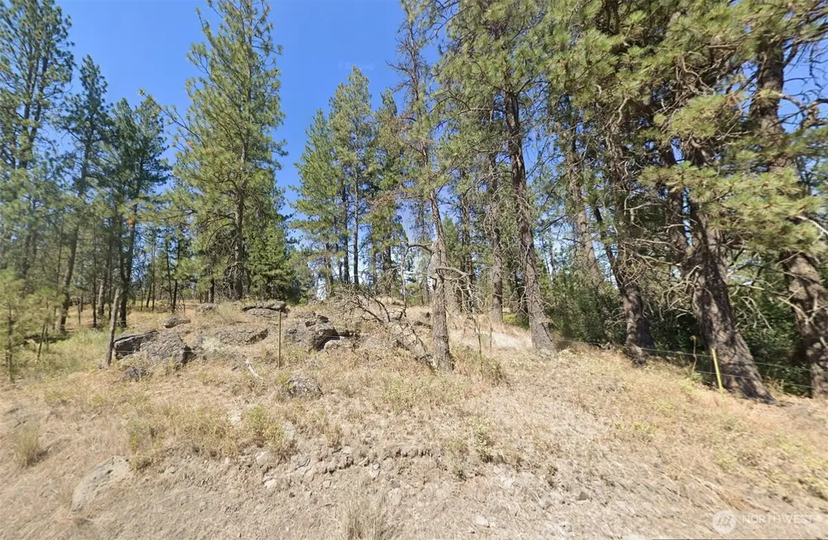 24535 S Pine Spring Rd, Cheney, WA 99004 - #1