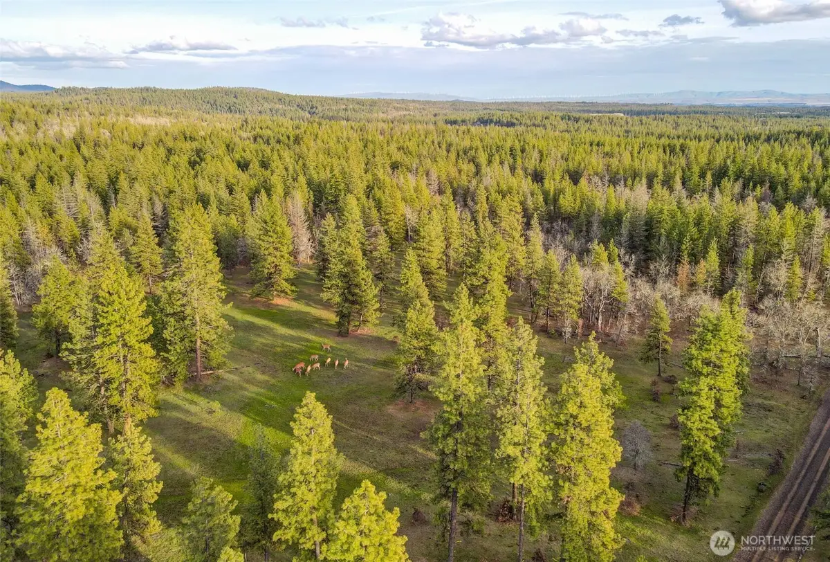 0 Greyback Mt Road #15, Goldendale, WA 98620 - #1