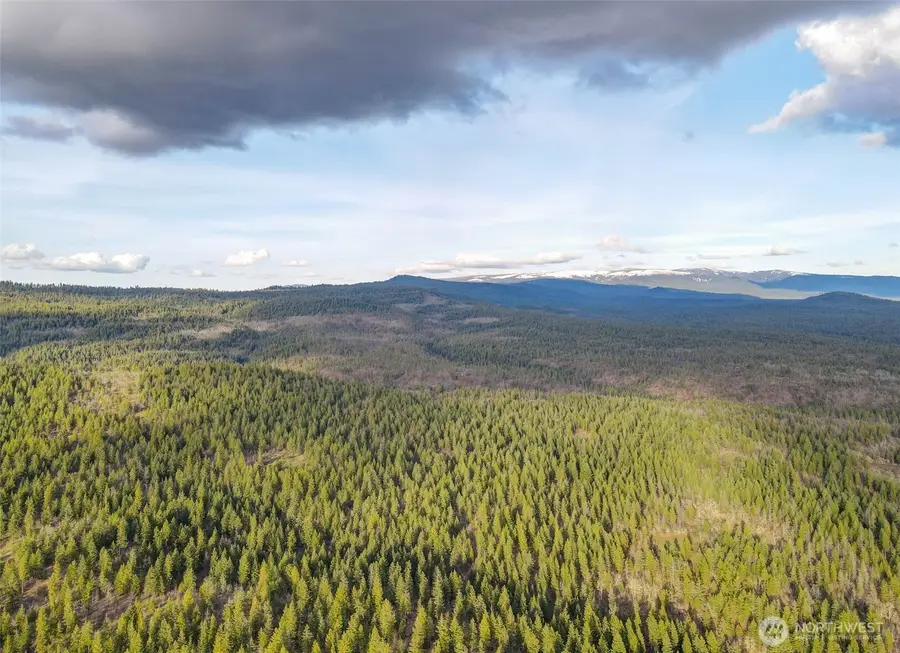 0 Greyback Mt Road #15, Goldendale, WA 98620 - #2