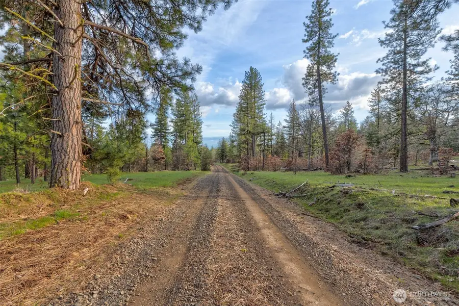 0 Greyback Mt Road #15, Goldendale, WA 98620 - #3