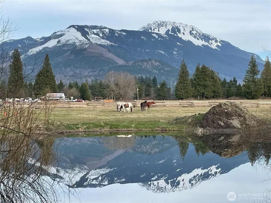 46003 Concrete Sauk Valley Road, Concrete, WA 98237 - #2