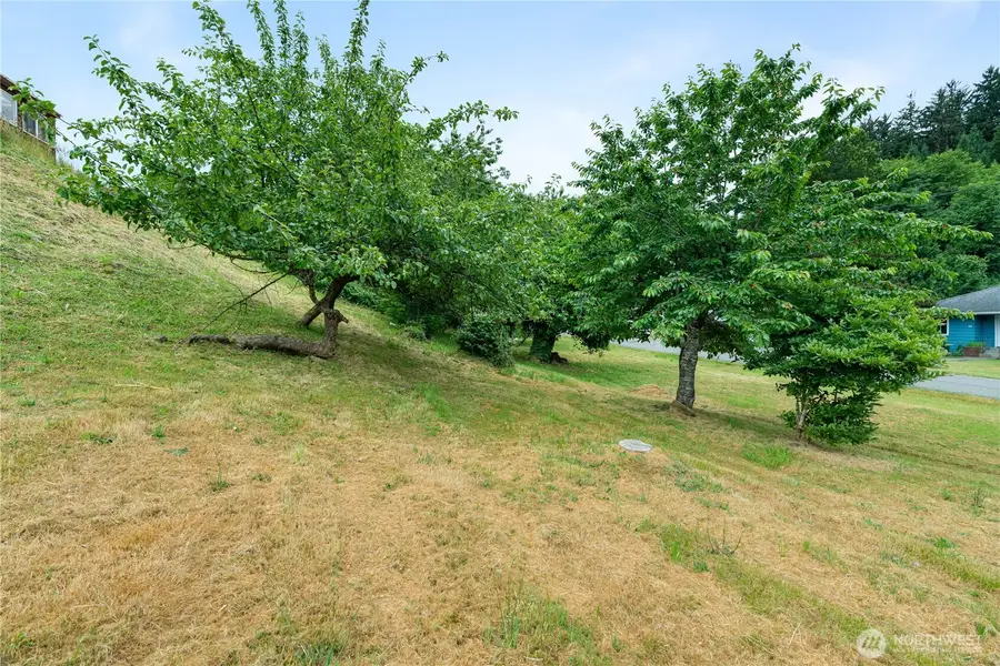 0 2nd Street #LOTS 14 THRU 16, South Bend, WA 98586 - #3