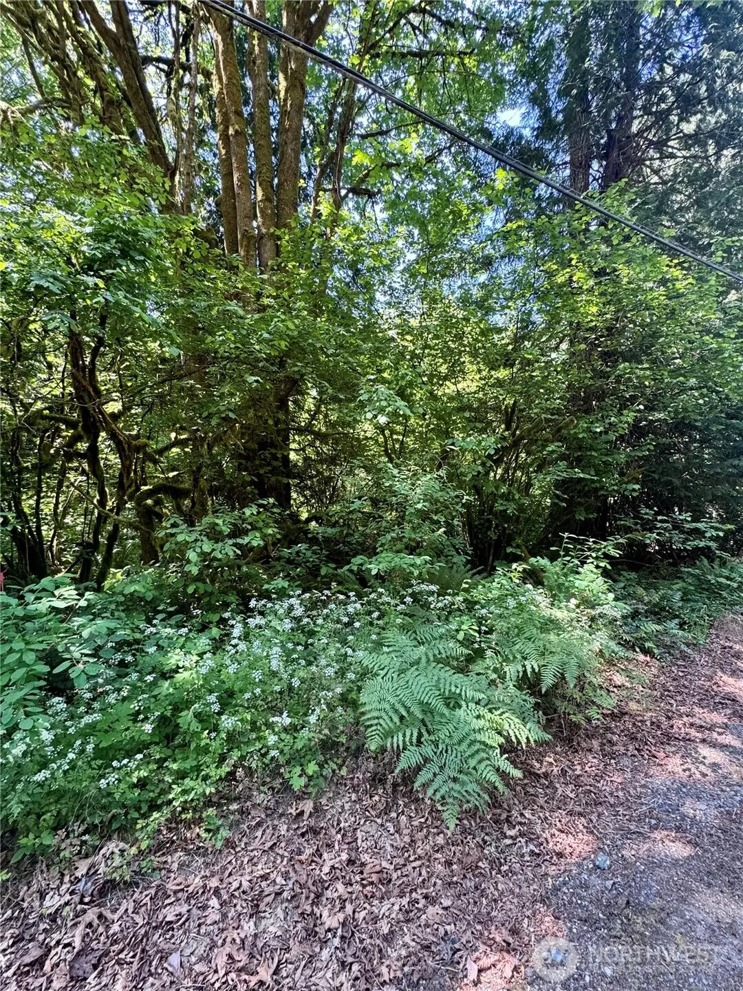 12014 126th Avenue Nw, Gig Harbor, WA 98329 - #1