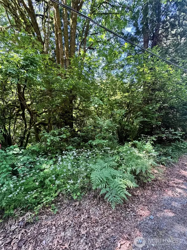 12014 126th Avenue Nw, Gig Harbor, WA 98329