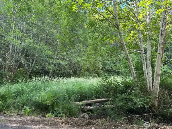 190 W Thunderbird Drive #Lot  39, Elma, WA 98541