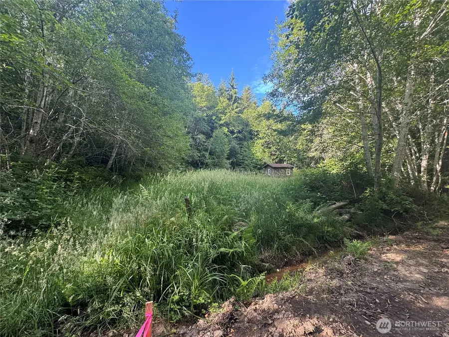 190 W Thunderbird Drive #Lot  39, Elma, WA 98541 - #3