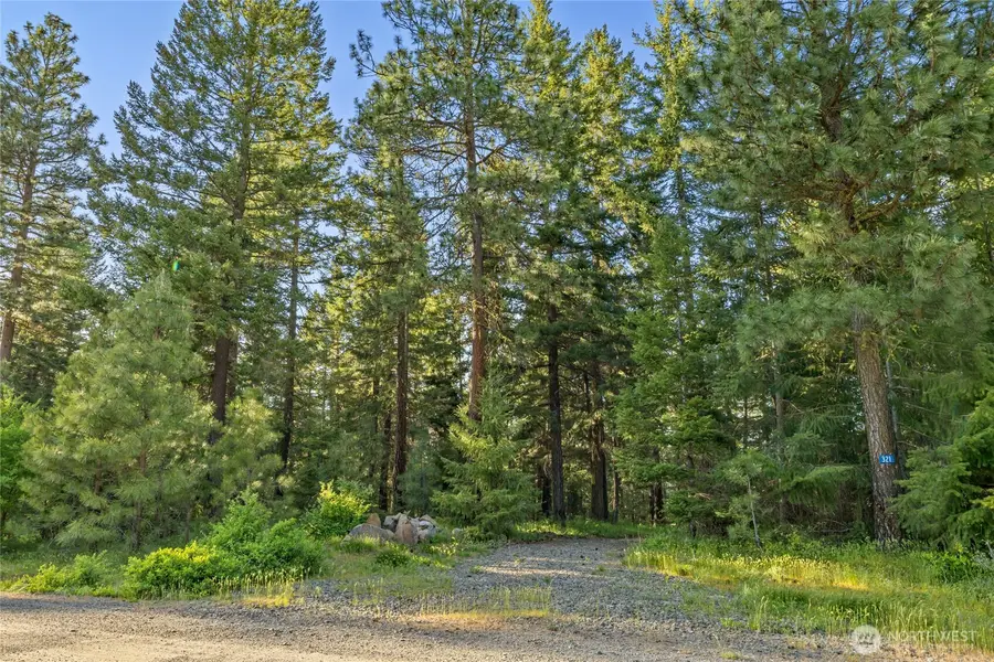 321 Graham Road, Cle Elum, WA 98922 - #3