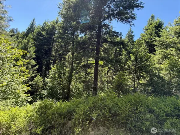 0 Toroda Creek Road, Wauconda, WA 98859