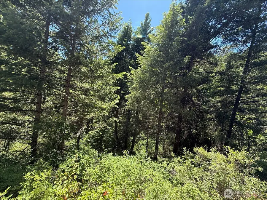 0 Toroda Creek Road, Wauconda, WA 98859 - #2
