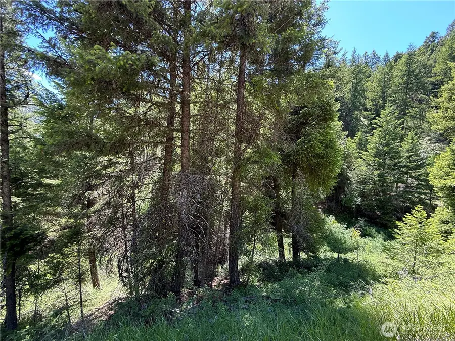 0 Toroda Creek Road, Wauconda, WA 98859 - #3