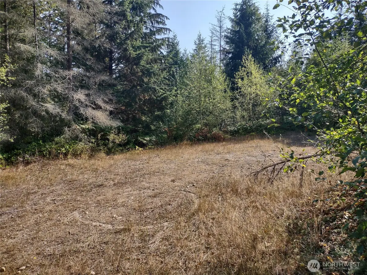 0 Blue Valley Road, Port Angeles, WA 98362 - #1