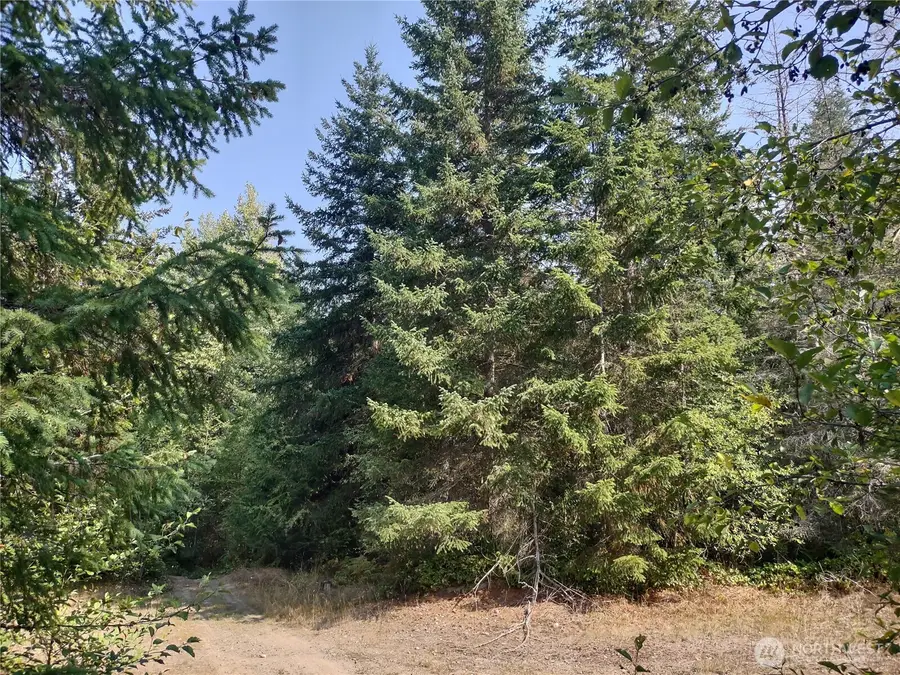 0 Blue Valley Road, Port Angeles, WA 98362 - #2