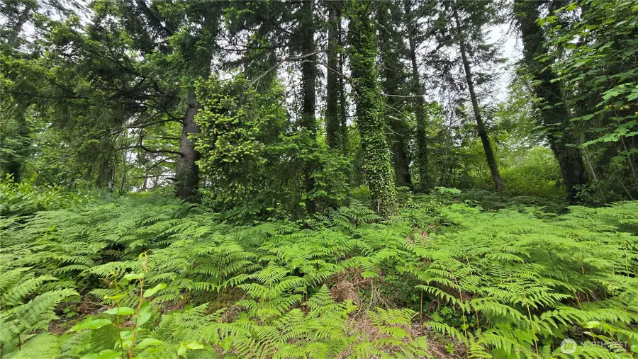 27339 SE 403rd (lots 39,47,48,49) Street #Lots 39,47,48,49, Enumclaw, WA 98022 - #3