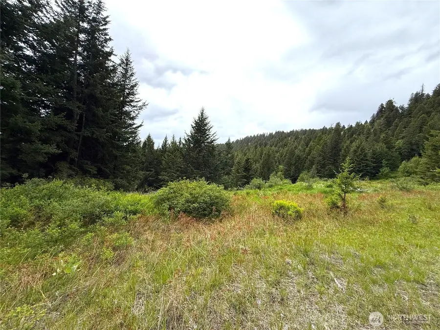 0 Pontiac Ridge Road, Oroville, WA 98844 - #2