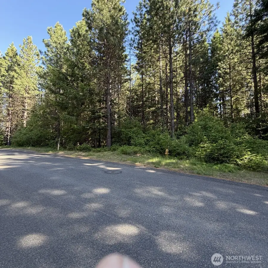 710 Iron Monarch Loop #6, Cle Elum, WA 98922 - #2