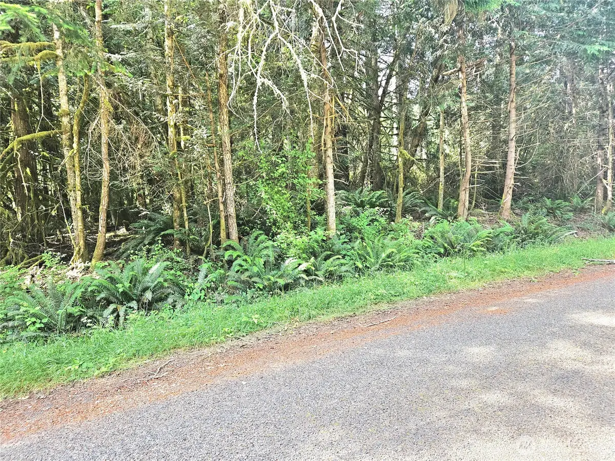 124 E Go Onna Drive #29, Quilcene, WA 98376 - #1