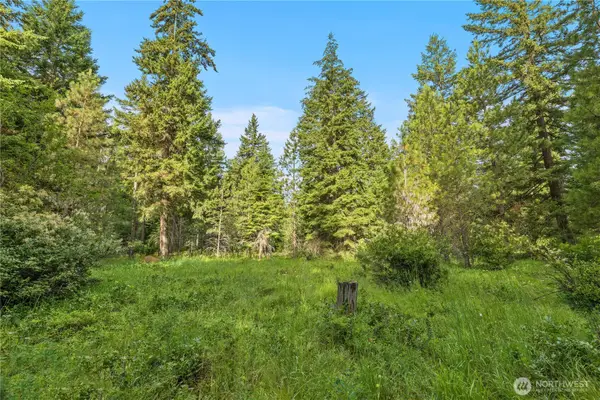 0 Westside Road #D-1A, Cle Elum, WA 98922