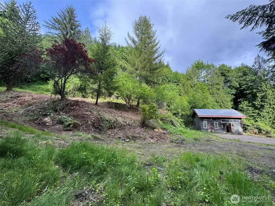 5532 Lewis River Road, Ariel, WA 98603 - #3