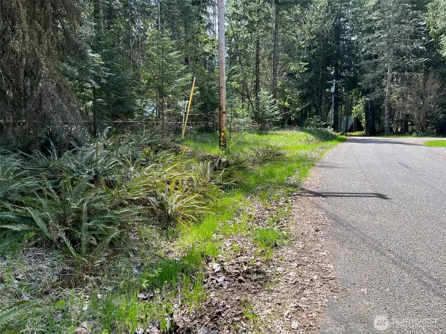 56919 384th Avenue Ct E #11, Ashford, WA 98304 - #3
