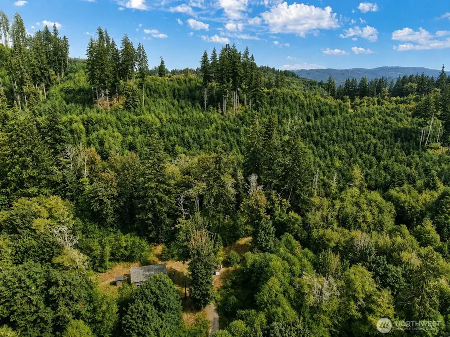 380 Williams Creek Road, Oakville, WA 98568 - #2