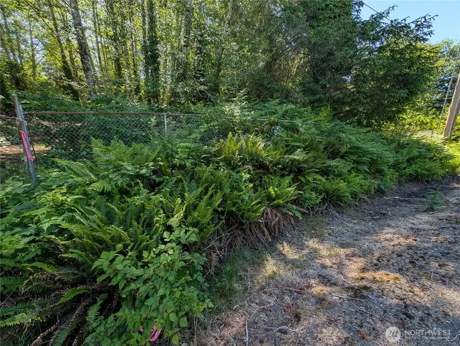 181327 Hwy 101 Highway, Forks, WA 98331 - #2