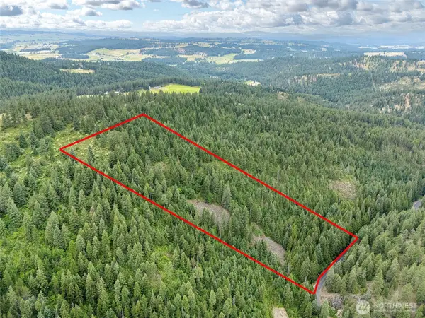 19970 N Mt Spokane Park Dr, Mead, WA 99021