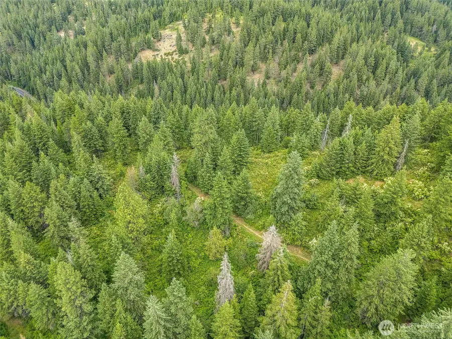 19960 N Mt Spokane Park Dr, Mead, WA 99021 - #3