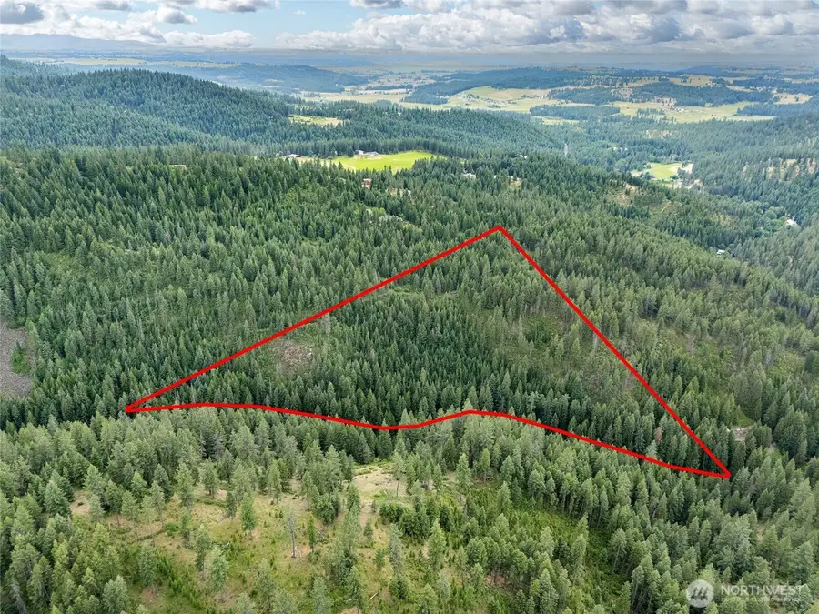 19960 + 19970 N Mt Spokane Park Dr, Mead, WA 99021 - #2