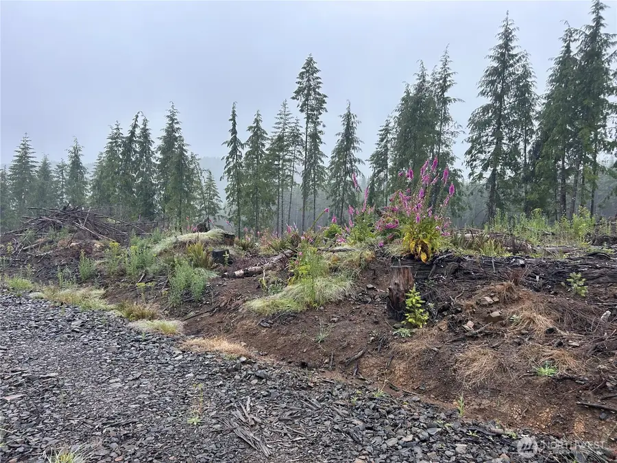 0 Ocean Beach Highway #B, Skamokawa, WA 98647 - #3