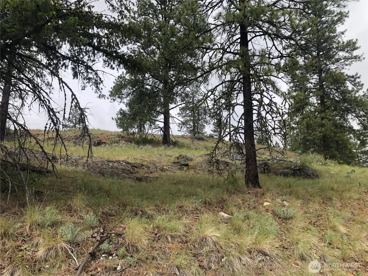 227 Point Drive, Oroville, WA 98844 - #1