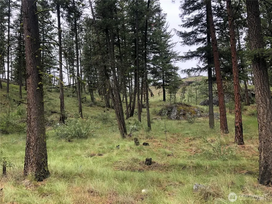 227 Point Drive, Oroville, WA 98844 - #2