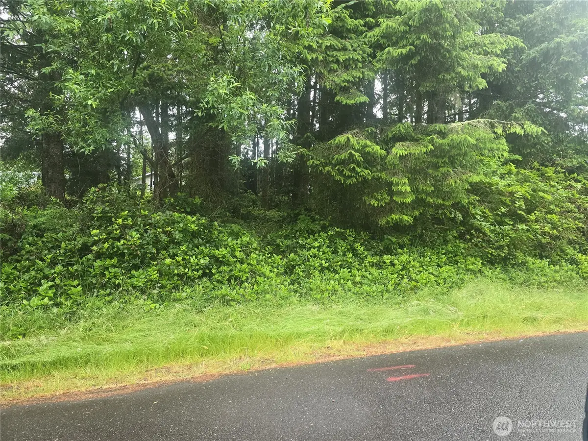 563 Weatherwax Loop Ne #7, Ocean Shores, WA 98569 - #1