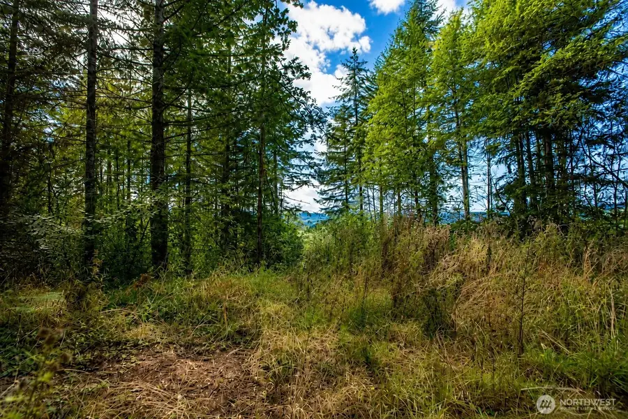 673 Curtis Hill Road, Chehalis, WA 98532 - #2
