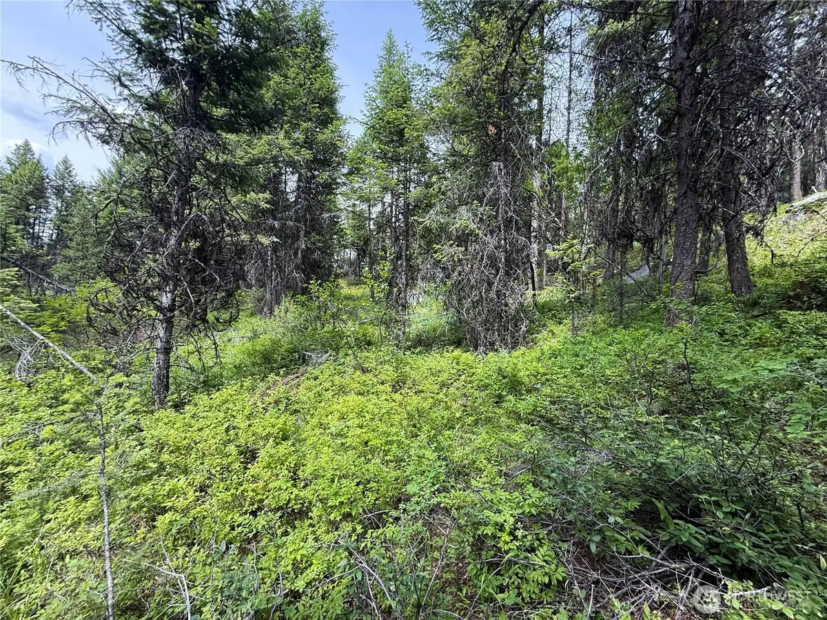 0 Mule Deer Road, Republic, WA 99166 - #1