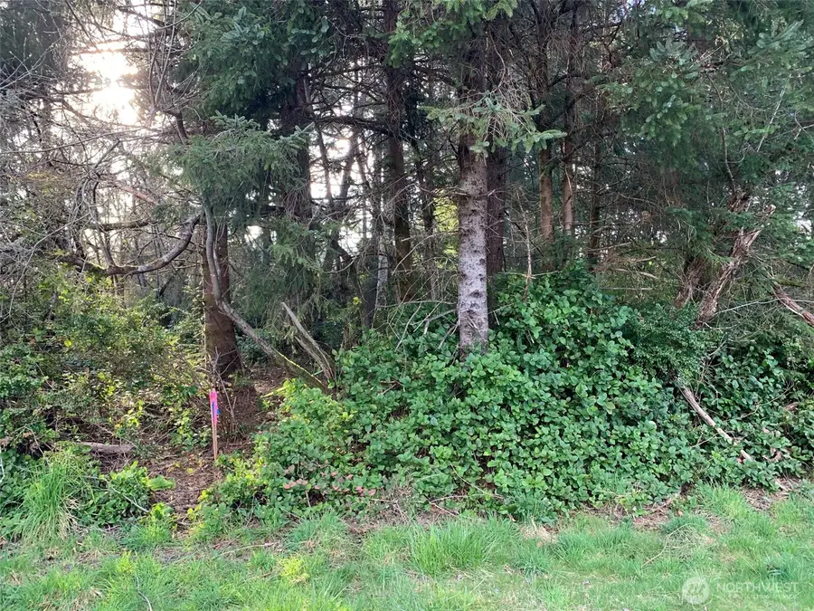 609 Weatherwax, Ocean Shores, WA 98569 - #3