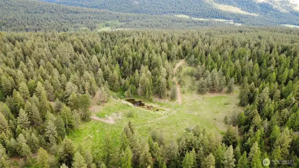 0 Tbd Blue Meadow Rd, Tonasket, WA 98855
