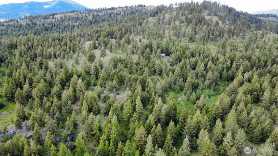 0 Tbd Blue Meadow Rd, Tonasket, WA 98855 - #3