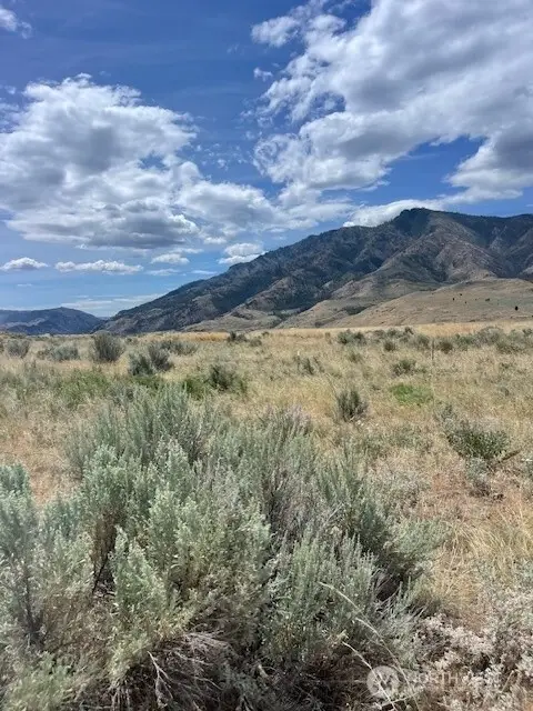 0 Lot 1, Bill Shaw Road #1, Pateros, WA 98846 - #3