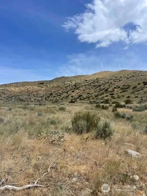 410 Bill Shaw Road #2, Pateros, WA 98846 - #1